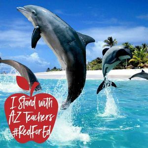 Meet your Posher, Lillian